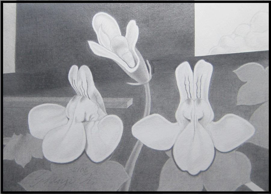 鉛筆画で自由に花を描く 初心者のための鉛筆画の描き方講座