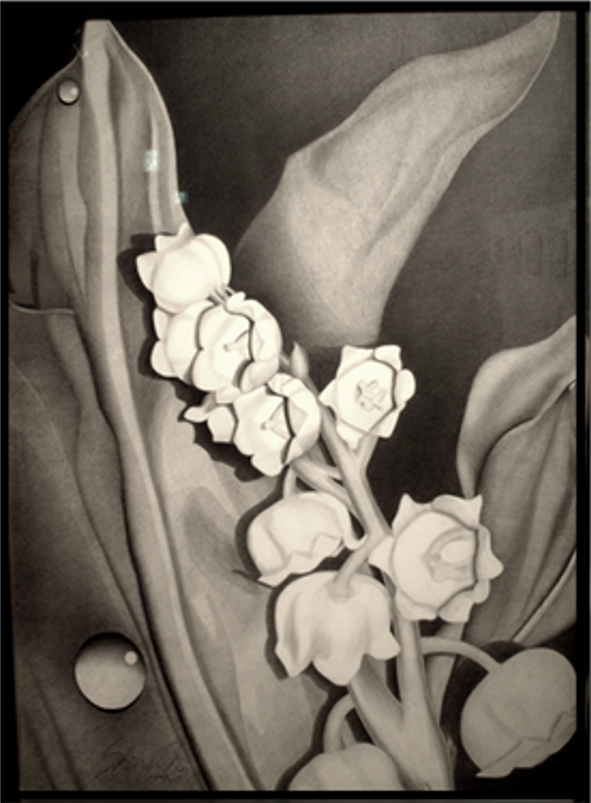 完全ガイド：初心者から学べるスズランの鉛筆画・デッサン描画法  